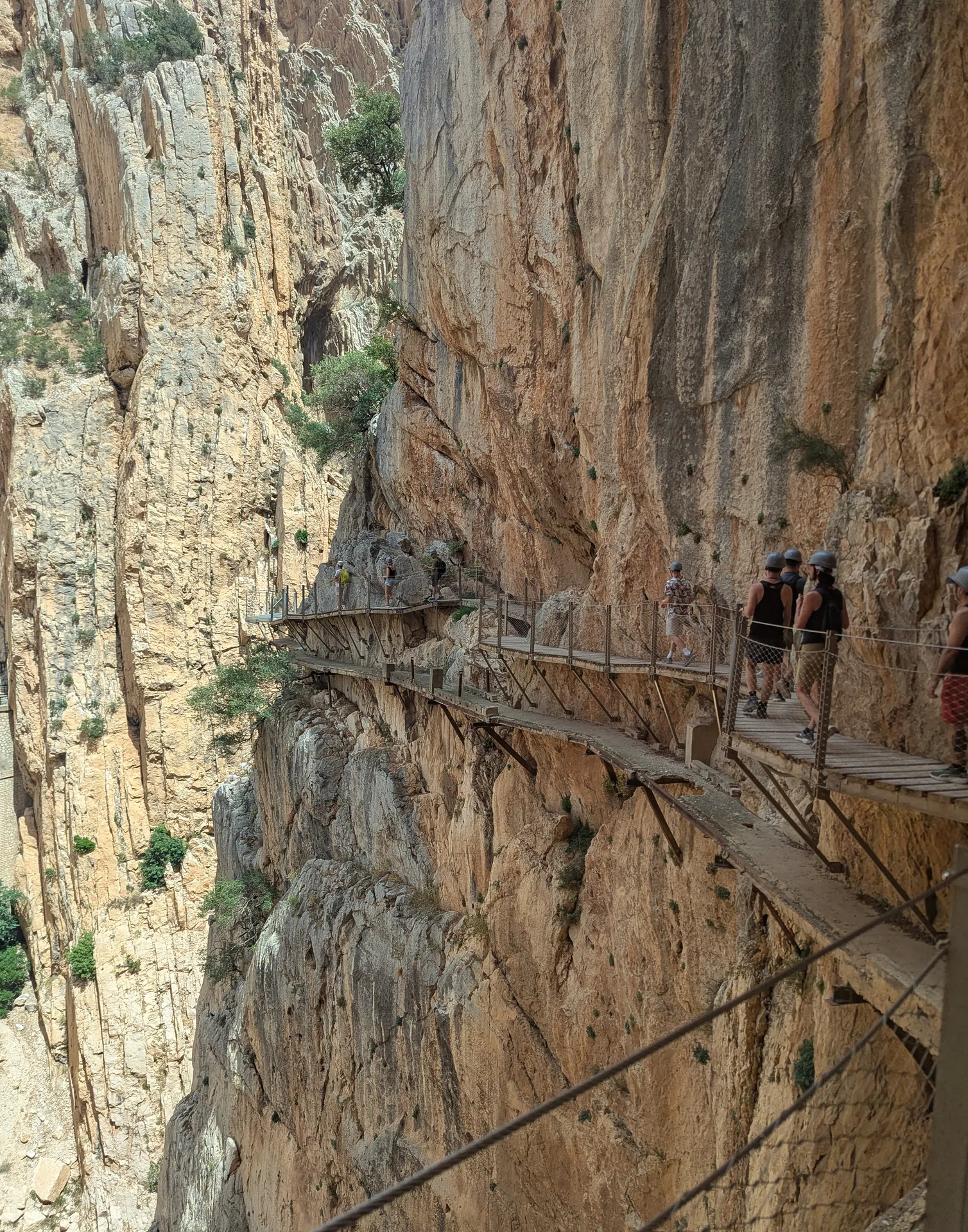 Cliffside trail boardwalk